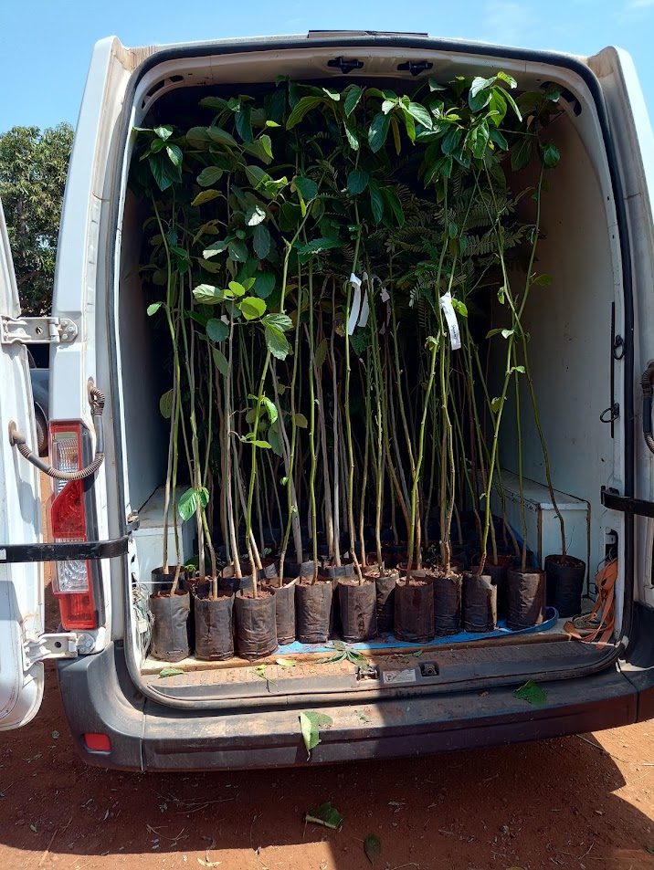 Van carregada com plantas para entrega